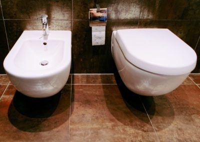 wall mounted ceramic toilet and bidet