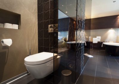 modern bathroom with ceramic toilet